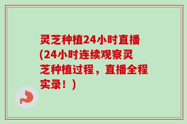 灵芝种植24小时直播(24小时连续观察灵芝种植过程，直播全程实录！)