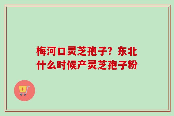 梅河口灵芝孢子？东北什么时候产灵芝孢子粉