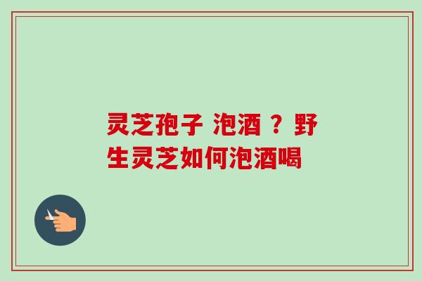 灵芝孢子 泡酒 ？野生灵芝如何泡酒喝