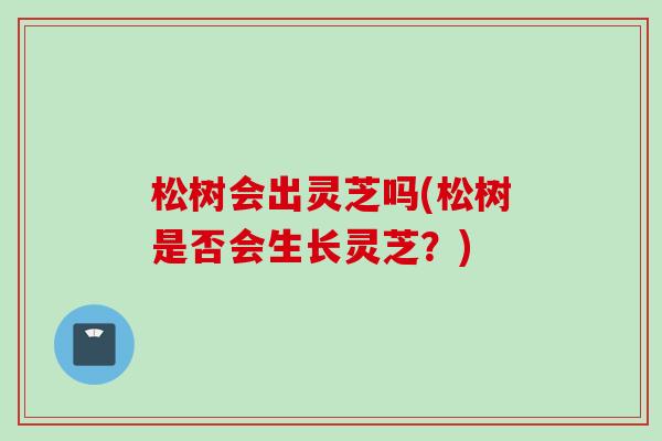 松树会出灵芝吗(松树是否会生长灵芝？)