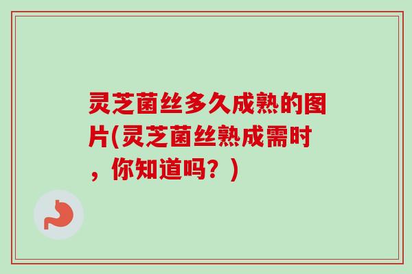 灵芝菌丝多久成熟的图片(灵芝菌丝熟成需时，你知道吗？)