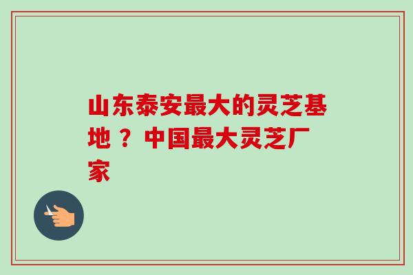 山东泰安最大的灵芝基地 ？中国最大灵芝厂家