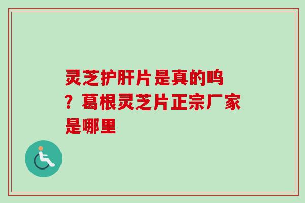 灵芝护肝片是真的呜 ？葛根灵芝片正宗厂家是哪里