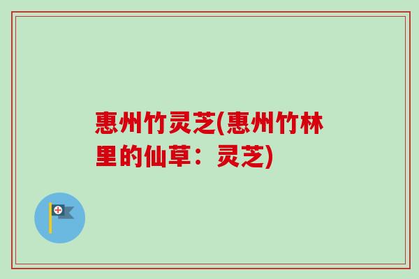 惠州竹灵芝(惠州竹林里的仙草：灵芝)