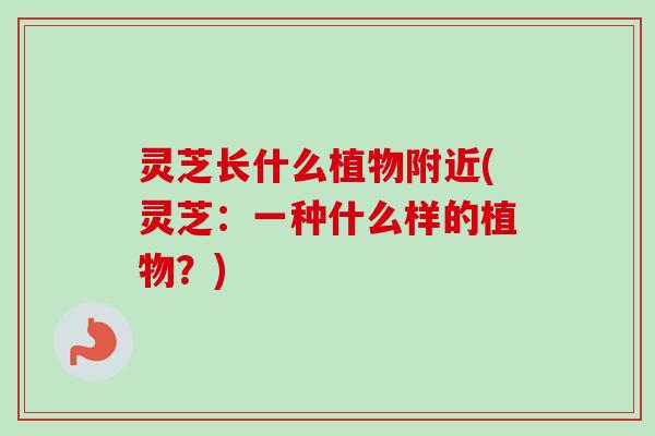 灵芝长什么植物附近(灵芝:一种什么样的植物?) 灵芝长什么植物附近(灵芝:一种什么样的植物?)