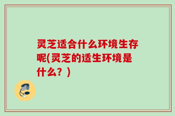 灵芝适合什么环境生存呢(灵芝的适生环境是什么？)
