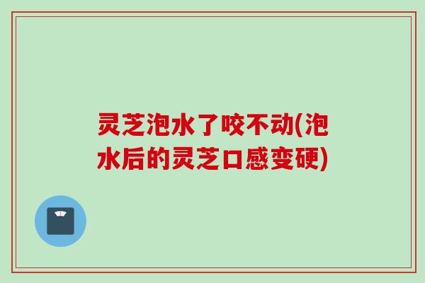 灵芝泡水了咬不动(泡水后的灵芝口感变硬) 灵芝泡水了咬不动(泡水后的灵芝口感变硬)