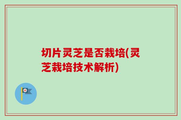 切片灵芝是否栽培(灵芝栽培技术解析)
