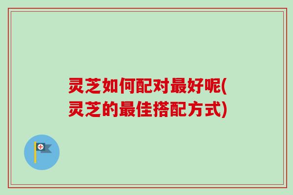灵芝如何配对最好呢(灵芝的最佳搭配方式)