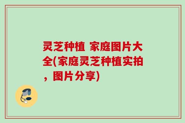 灵芝种植 家庭图片大全(家庭灵芝种植实拍，图片分享)