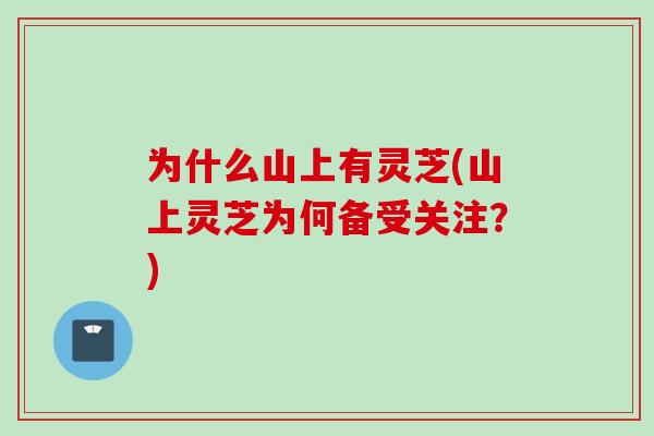 为什么山上有灵芝(山上灵芝为何备受关注？)