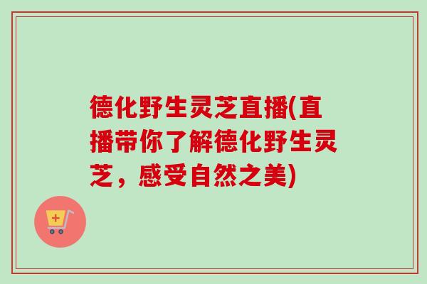 德化野生灵芝直播(直播带你了解德化野生灵芝,感受自然之美) 德化野生灵芝直播(直播带你了解德化野生灵芝,感受自然之美)