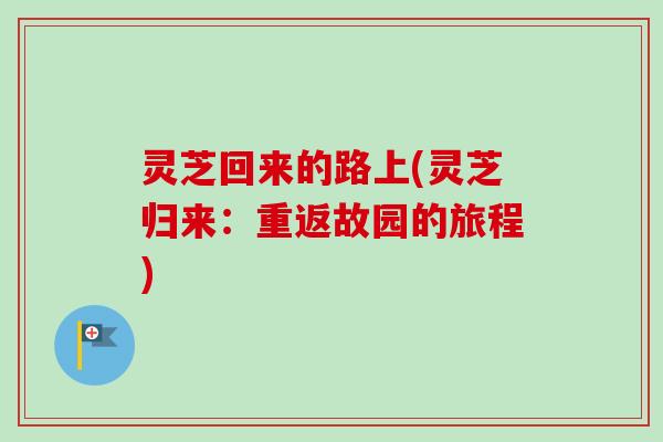 灵芝回来的路上(灵芝归来：重返故园的旅程)