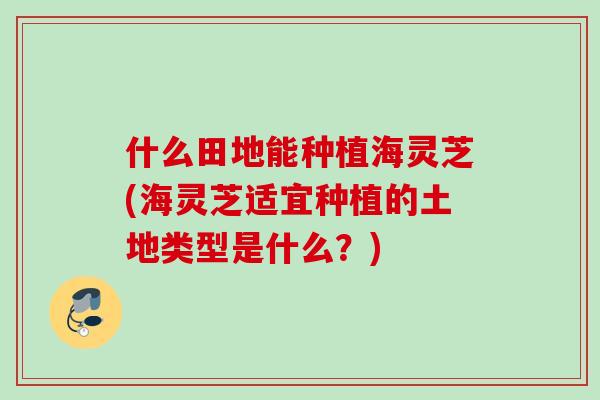 什么田地能种植海灵芝(海灵芝适宜种植的土地类型是什么？)