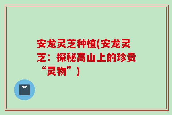 安龙灵芝种植(安龙灵芝：探秘高山上的珍贵“灵物”)