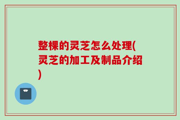 整棵的灵芝怎么处理(灵芝的加工及制品介绍)