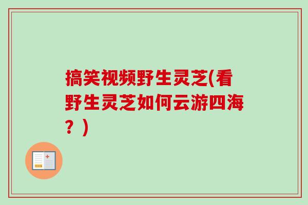 搞笑视频野生灵芝(看野生灵芝如何云游四海？)