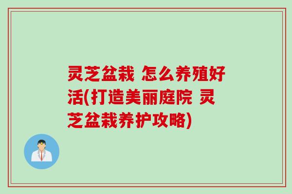 灵芝盆栽 怎么养殖好活(打造美丽庭院 灵芝盆栽养护攻略) 灵芝盆栽 怎么养殖好活(打造美丽庭院 灵芝盆栽养护攻略)