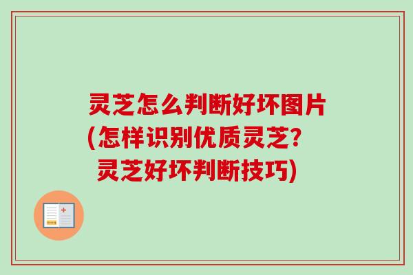 灵芝怎么判断好坏图片(怎样识别优质灵芝？ 灵芝好坏判断技巧)