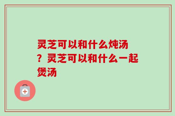 灵芝可以和什么炖汤 ？灵芝可以和什么一起煲汤