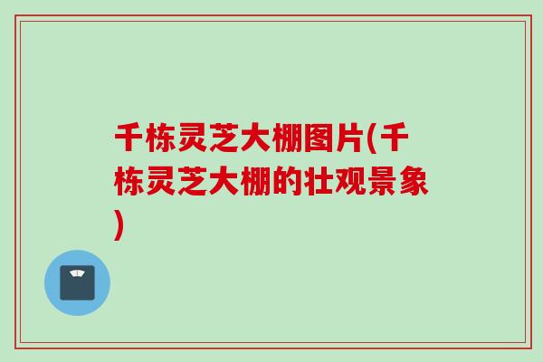 千栋灵芝大棚图片(千栋灵芝大棚的壮观景象)