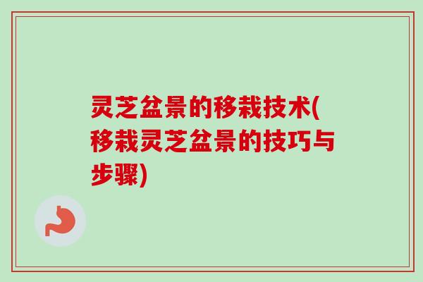 灵芝盆景的移栽技术(移栽灵芝盆景的技巧与步骤)