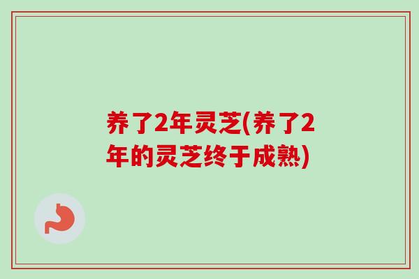 养了2年灵芝(养了2年的灵芝终于成熟)