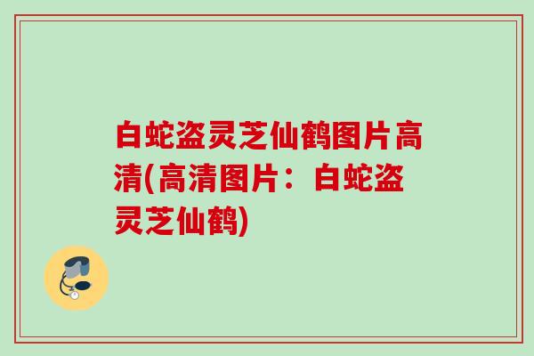 白蛇盗灵芝仙鹤图片高清(高清图片：白蛇盗灵芝仙鹤)