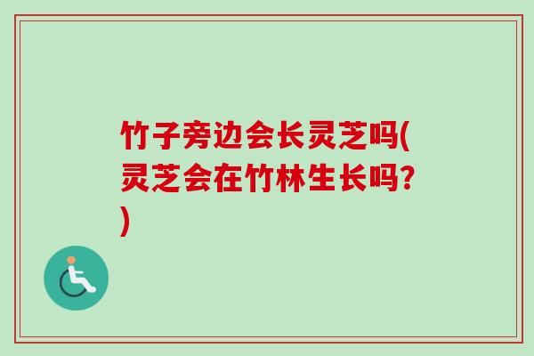 竹子旁边会长灵芝吗(灵芝会在竹林生长吗？)