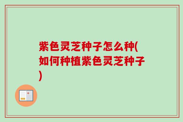 紫色灵芝种子怎么种(如何种植紫色灵芝种子)