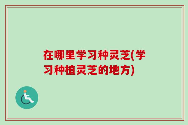 在哪里学习种灵芝(学习种植灵芝的地方)