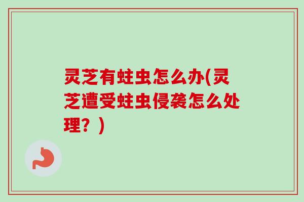 灵芝有蛀虫怎么办(灵芝遭受蛀虫侵袭怎么处理?) 灵芝有蛀虫怎么办(灵芝遭受蛀虫侵袭怎么处理?)