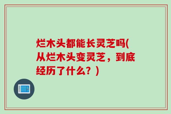 烂木头都能长灵芝吗(从烂木头变灵芝，到底经历了什么？)