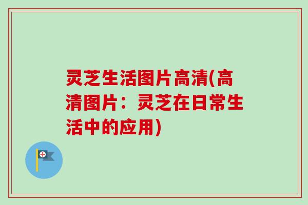 灵芝生活图片高清(高清图片：灵芝在日常生活中的应用)