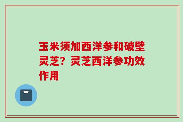 玉米须加西洋参和破壁灵芝？灵芝西洋参功效作用