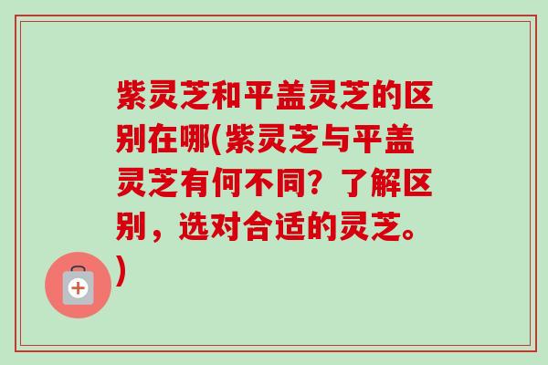 紫灵芝和平盖灵芝的区别在哪(紫灵芝与平盖灵芝有何不同？了解区别，选对合适的灵芝。)
