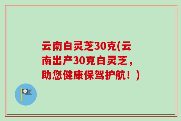 云南白灵芝30克(云南出产30克白灵芝，助您健康保驾护航！)