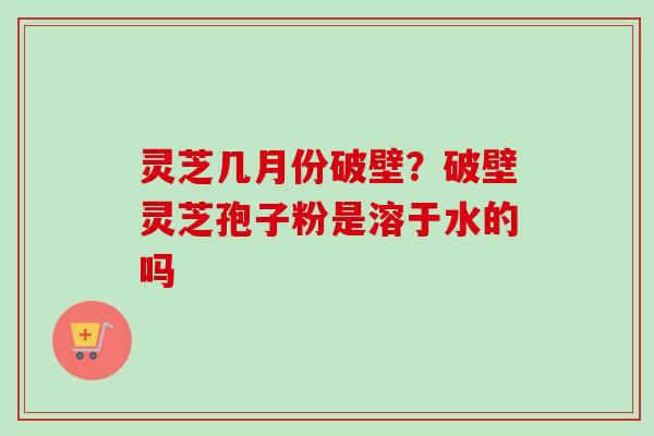 灵芝几月份破壁？破壁灵芝孢子粉是溶于水的吗
