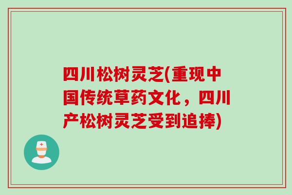 四川松树灵芝(重现中国传统草药文化，四川产松树灵芝受到追捧)