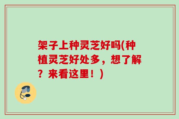 架子上种灵芝好吗(种植灵芝好处多，想了解？来看这里！)
