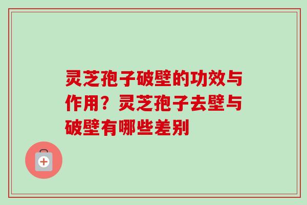 灵芝孢子破壁的功效与作用？灵芝孢子去壁与破壁有哪些差别