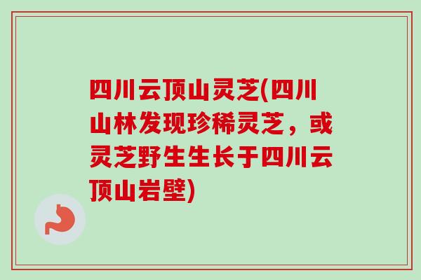四川云顶山灵芝(四川山林发现珍稀灵芝,或灵芝野生生长于四川云顶山岩壁) 四川云顶山灵芝(四川山林发现珍稀灵芝,或灵芝野生生长于四川云顶山岩壁)