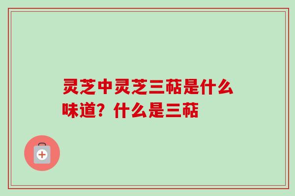 灵芝中灵芝三萜是什么味道？什么是三萜
