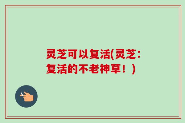 灵芝可以复活(灵芝：复活的不老神草！)