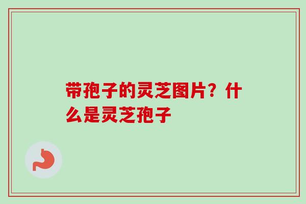 带孢子的灵芝图片？什么是灵芝孢子