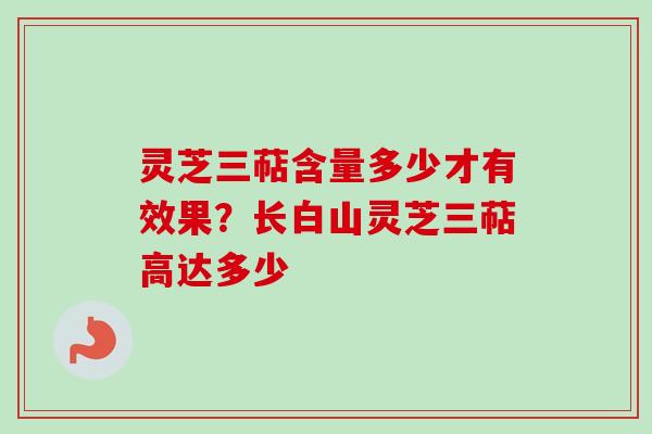 灵芝三萜含量多少才有效果？长白山灵芝三萜高达多少