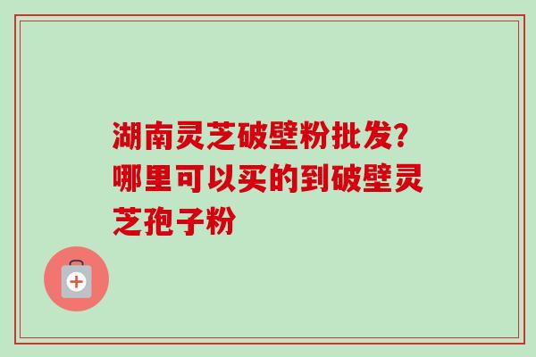 湖南灵芝破壁粉批发？哪里可以买的到破壁灵芝孢子粉