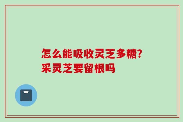 怎么能吸收灵芝多糖？采灵芝要留根吗