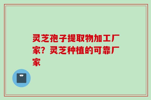 灵芝孢子提取物加工厂家？灵芝种植的可靠厂家