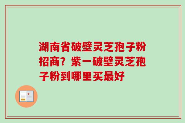 湖南省破壁灵芝孢子粉招商？紫一破壁灵芝孢子粉到哪里买最好